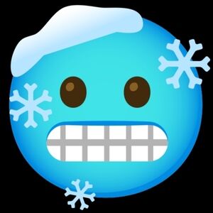 Blue Emoji Face with Snowflakes $5